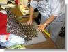 DSC00006